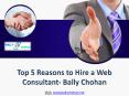 Top 5 Reasons to Hire a Web Consultant- Bally Chohan PowerPoint PPT Presentation