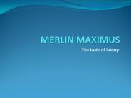 Merlin Maximus Kolkata