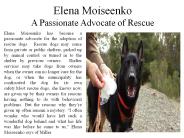 Elena Moiseenko a Passionate Advocate of Rescue