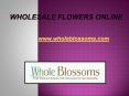 Wholesale Flowers Online - www.wholeblossoms.com (1) PowerPoint PPT Presentation