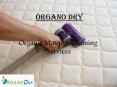 Organic Mattress Cleaning Services | Bed Cleaning Service Delhi PowerPoint PPT Presentation