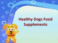 Healthy Dogs Food Supplements PowerPoint PPT Presentation