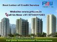 Leading Letter of Credit Service Delhi Call at 9716377283 PowerPoint PPT Presentation
