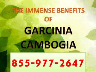 Garcinia Cambogia Online | Garcinia Cambogia Weight Loss