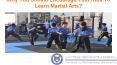 Why You Should Encourage Your Kids To Learn Martial Arts? PowerPoint PPT Presentation