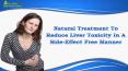 Natural Treatment To Reduce Liver Toxicity In A Side-Effect Free Manner PowerPoint PPT Presentation