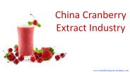 China Cranberry Extract Industry Overview
