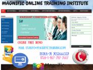Online Training|Sap Variant Configuration Training@Magnific