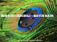 Rehash the dazzling beauty of Morachi Chincholi PowerPoint PPT Presentation