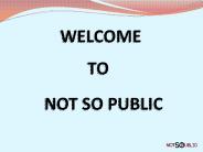 Not So Public Chicago