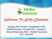 Camphor Manufacturers (8)