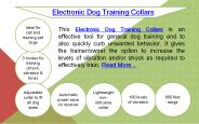 Electronic Dog Training Collars