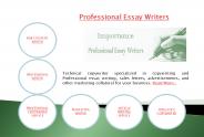 Professional essay writers