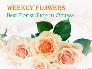 Nepean Florist