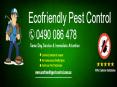 Ecofriendly pest control PowerPoint PPT Presentation