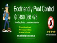 Ecofriendly pest control