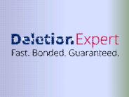 What Is the Fast-Track Credit Sweep from Deletion Expert