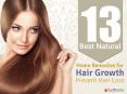 13 Best Natural Home Remedies for Hair Growth - Prevent Hair Loss PowerPoint PPT Presentation
