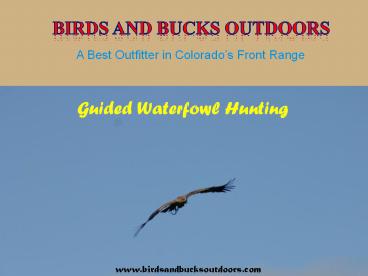 Duck Goose Hunting Colorado