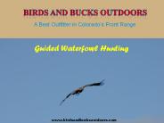 Duck Goose Hunting Colorado