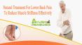 Natural Treatment For Lower Back Pain To Reduce Muscle Stiffness Effectively PowerPoint PPT Presentation