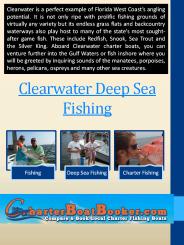 Clearwater Fishing Charters