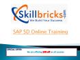 Best SAP SD Online Training Sevices at SkillBricks.com PowerPoint PPT Presentation