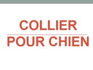 Collier Pour Chien