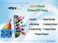 SEO traning in uttam nagar + 100% job Granted PowerPoint PPT Presentation