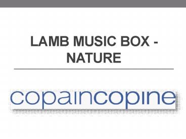 Lamb Music Box - Nature