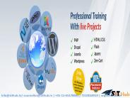 Web Development training in uttam nagar + 100% job Granted