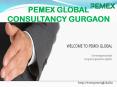 Pemex Gurgaon PowerPoint PPT Presentation
