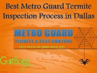 Best Metro Guard Termite Inspection Process in Dallas