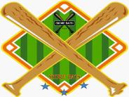 Bats Rent Baseball Bats