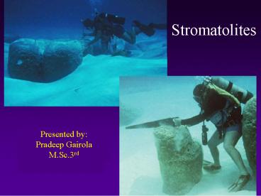 origin of life (life in dark)