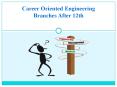 Career Oriented Engineering Branches after 12th PowerPoint PPT Presentation