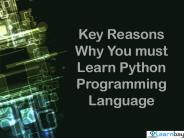 Key Reasons Why You must Learn Python Programming Language