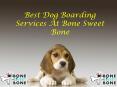Best Dog Boarding Services At Bone Sweet Bone PowerPoint PPT Presentation