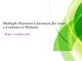 Multiple Payment Gateways for your e-Commerce Website PowerPoint PPT Presentation