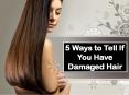 5 Ways to Tell If You Have Damaged Hair PowerPoint PPT Presentation