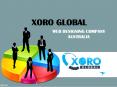 Xoro Global Web Designing PowerPoint PPT Presentation