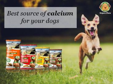 Best Source of Calcium for your Dogs