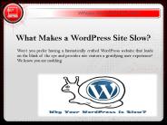 Hire WP speed optimization experts