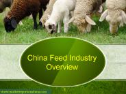 China Feed Industry Overview