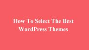 How To Select The Best WordPress Themes