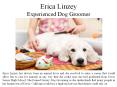 Erica Linzey - Experienced Dog Groomer PowerPoint PPT Presentation
