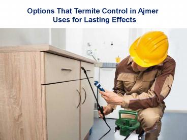 Options That Termite Control in Ajmer Uses for Lasting Effects