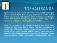 Search Best Hotel at Puri At Web Portals