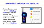 Latest remote dog training collar reviews 2016
