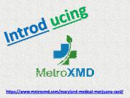 Cannabis card Washington MD